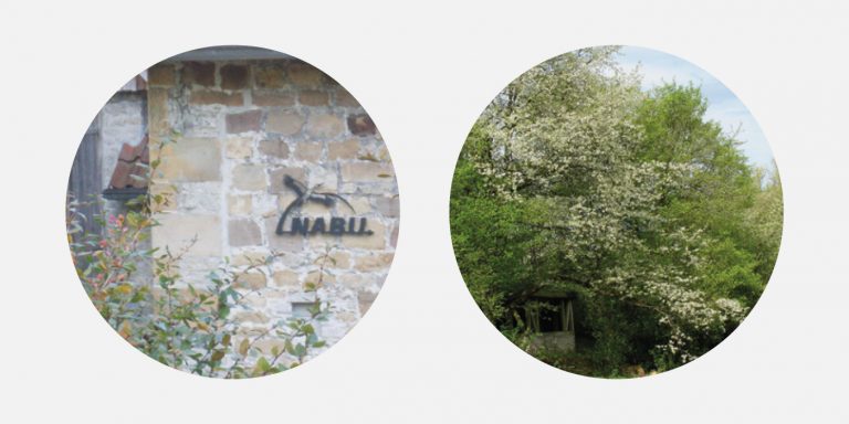 Flyer für die NABU Lippe Umweltbildungsstätte Rolfscher Hof